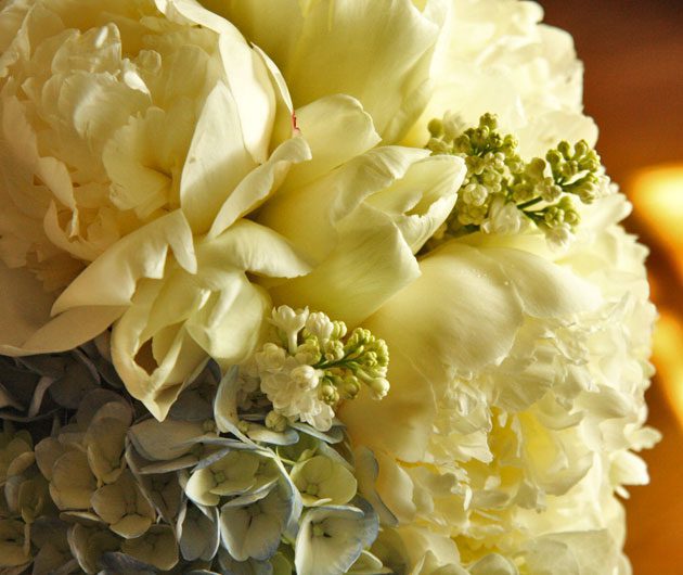 Cream peonies and hydrangea bouquet close-up
