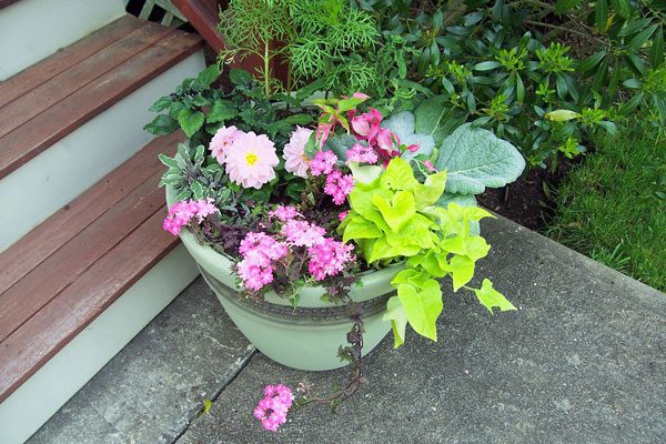 Green pot with pink flowers and foliage