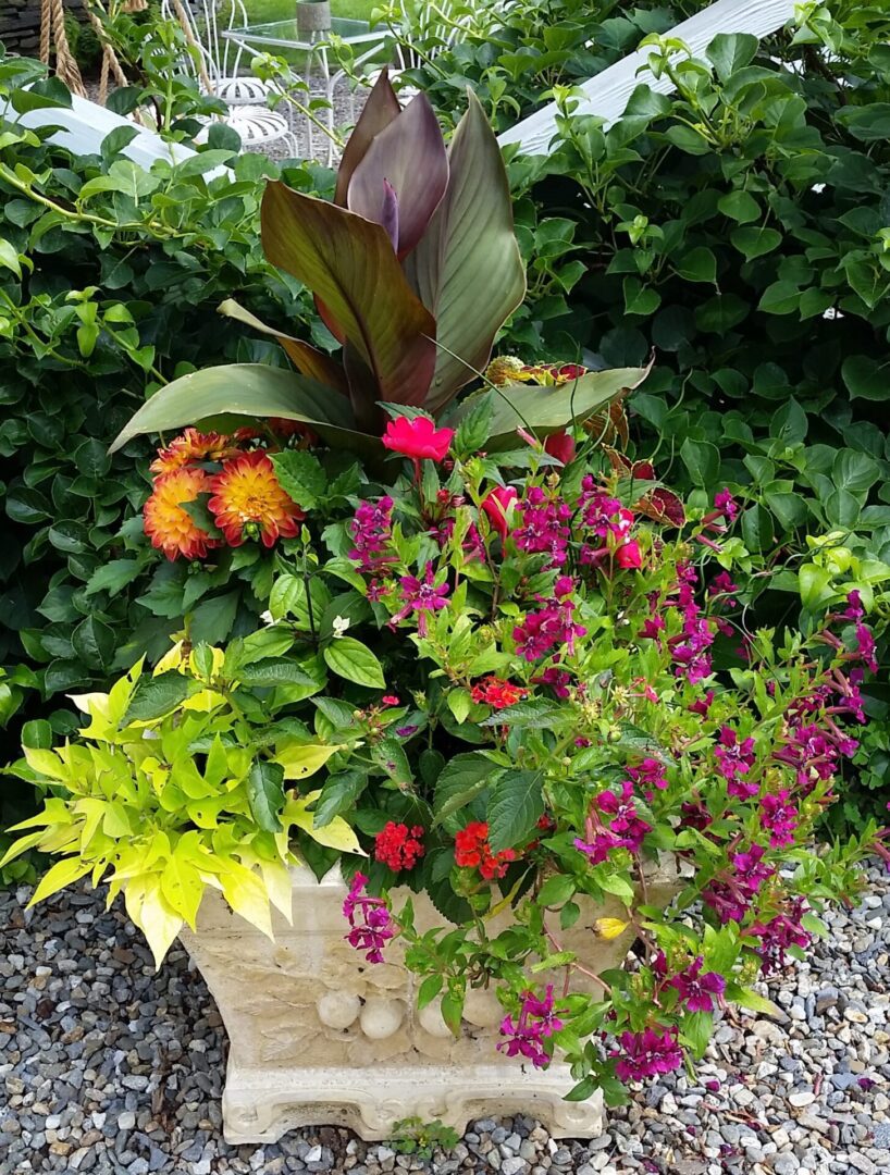 Colorful mixed flowers in decorative stone planter