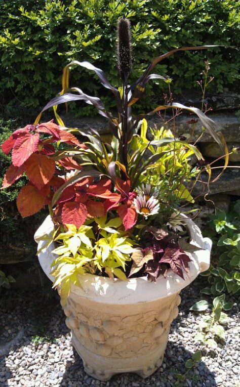 Stone planter with colorful mixed plants